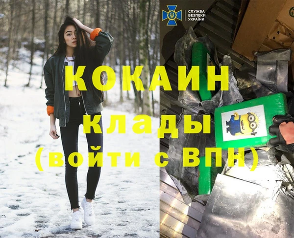 прущие грибы Каменногорск